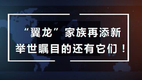 咕噜噜的爆料视频大全在线观看,揭秘幕后精彩瞬间  第1张